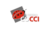 Cocci
